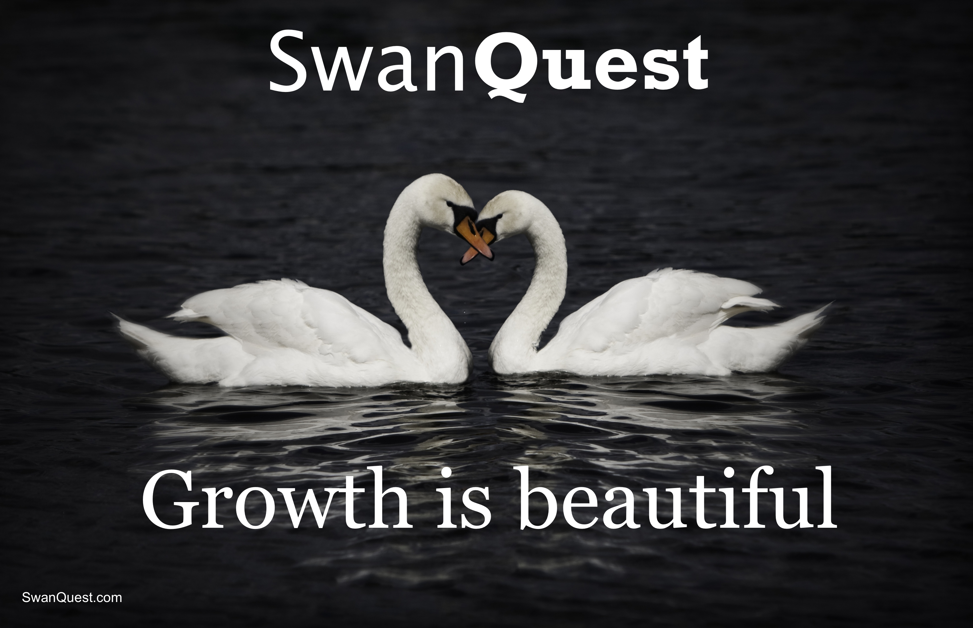 SwanQuest